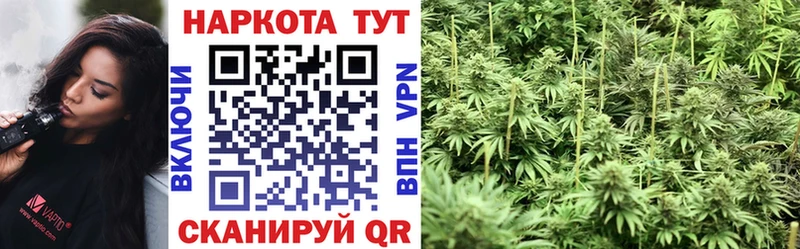Где можно купить наркотики Кремёнки ГАШИШ  A-PVP  МЕФ  Бошки Шишки  COCAIN 