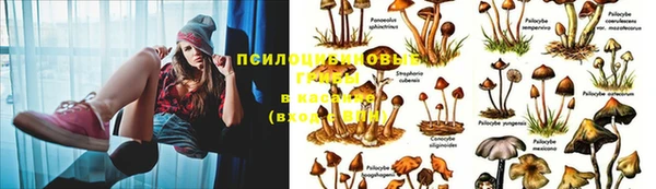 бутик Абаза