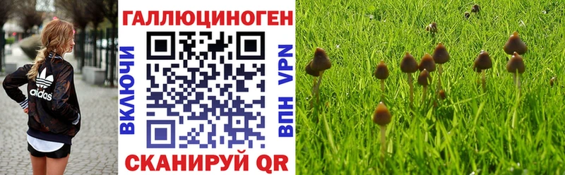 маркетплейс состав  Кремёнки  Галлюциногенные грибы Psilocybe 