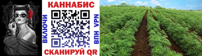 Каннабис Amnesia  дарнет шоп  Кремёнки 
